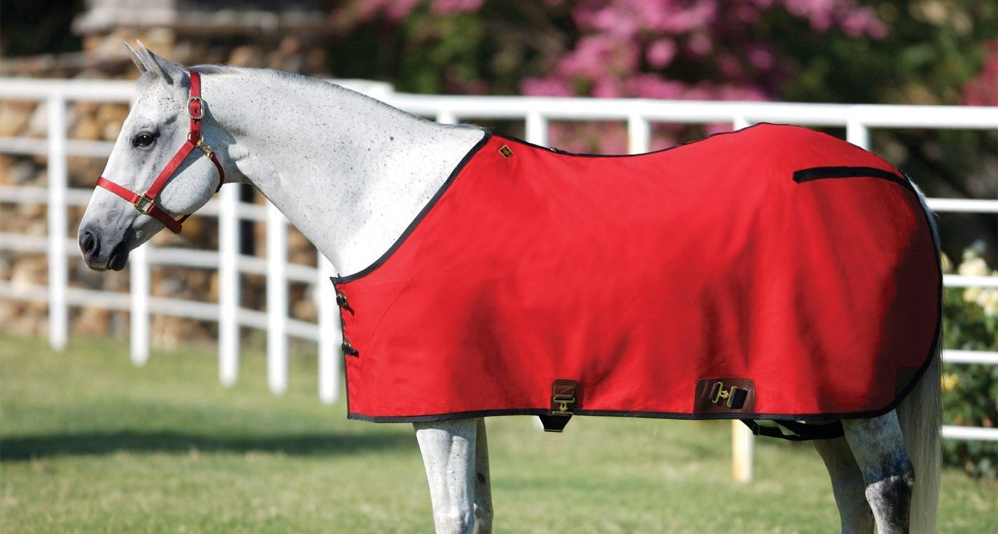 Horse Blanket