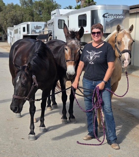 Woman smiles, holding reins of a black horse, mule, and palomino in front of trailers. Sunny outdoors.