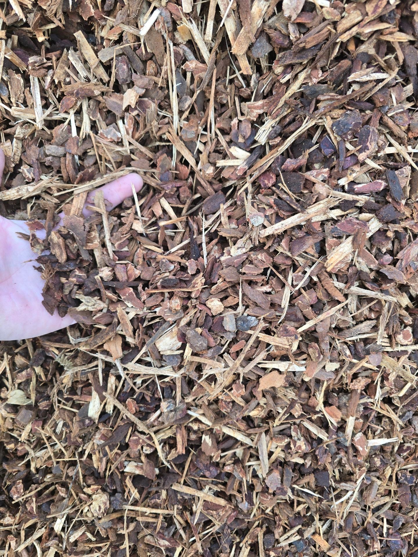 Beauty Bark | Landscaping Materials | LandShapers