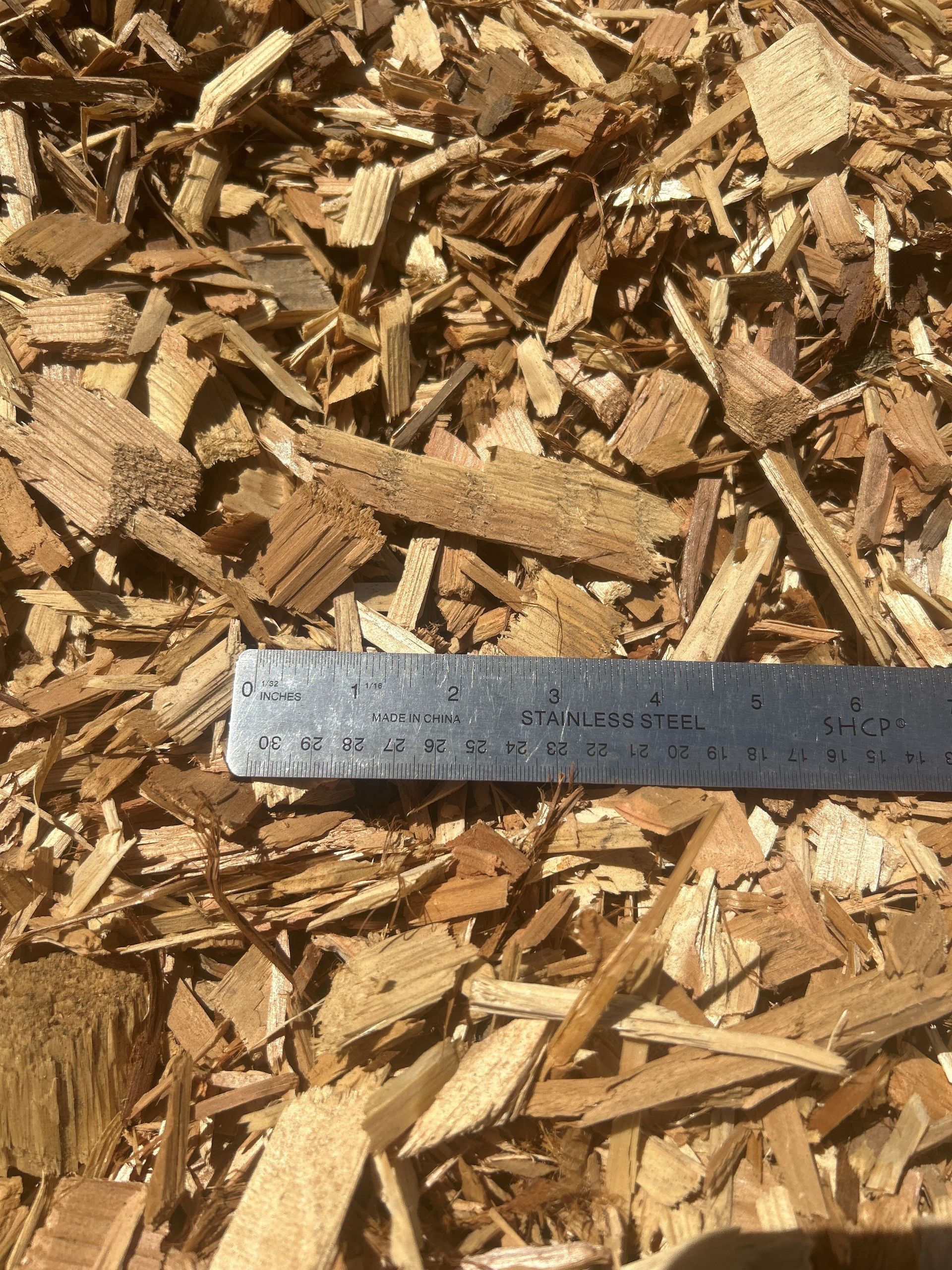 Wood chips with a ruler for scale.