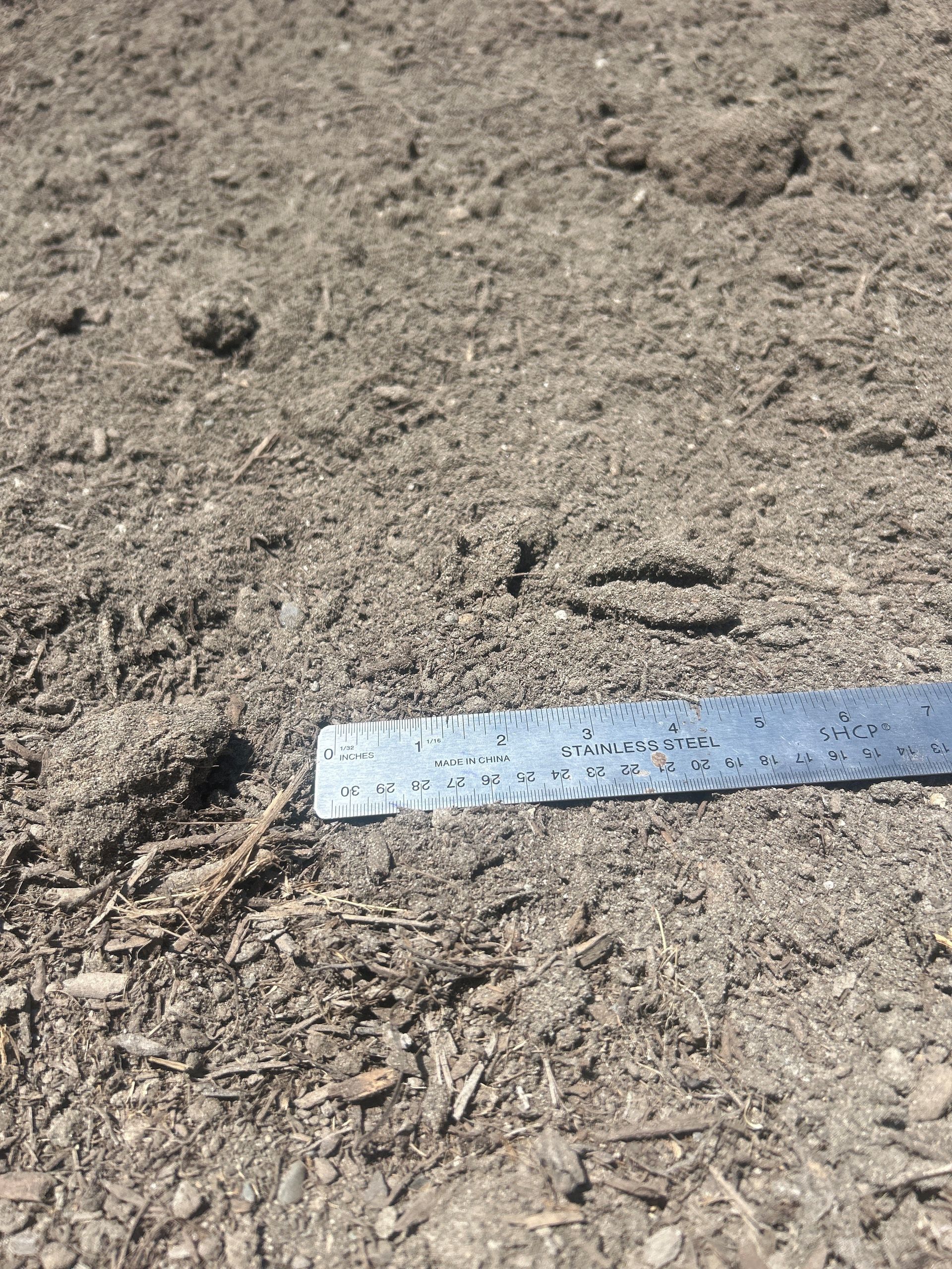 Close-up of mulch with a ruler, showing texture and size of the wood pieces.