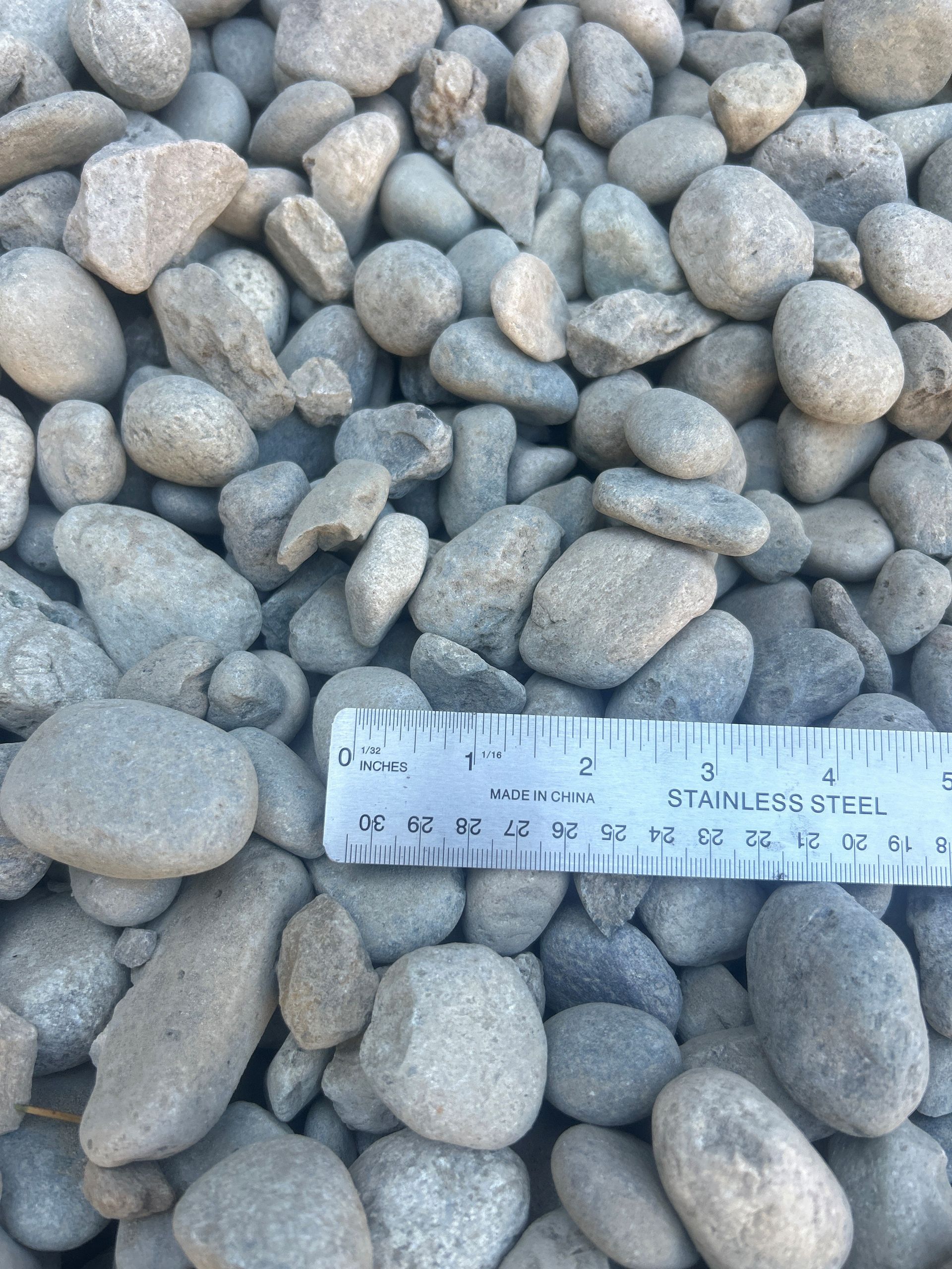 Gray river rocks with a ruler for scale.
