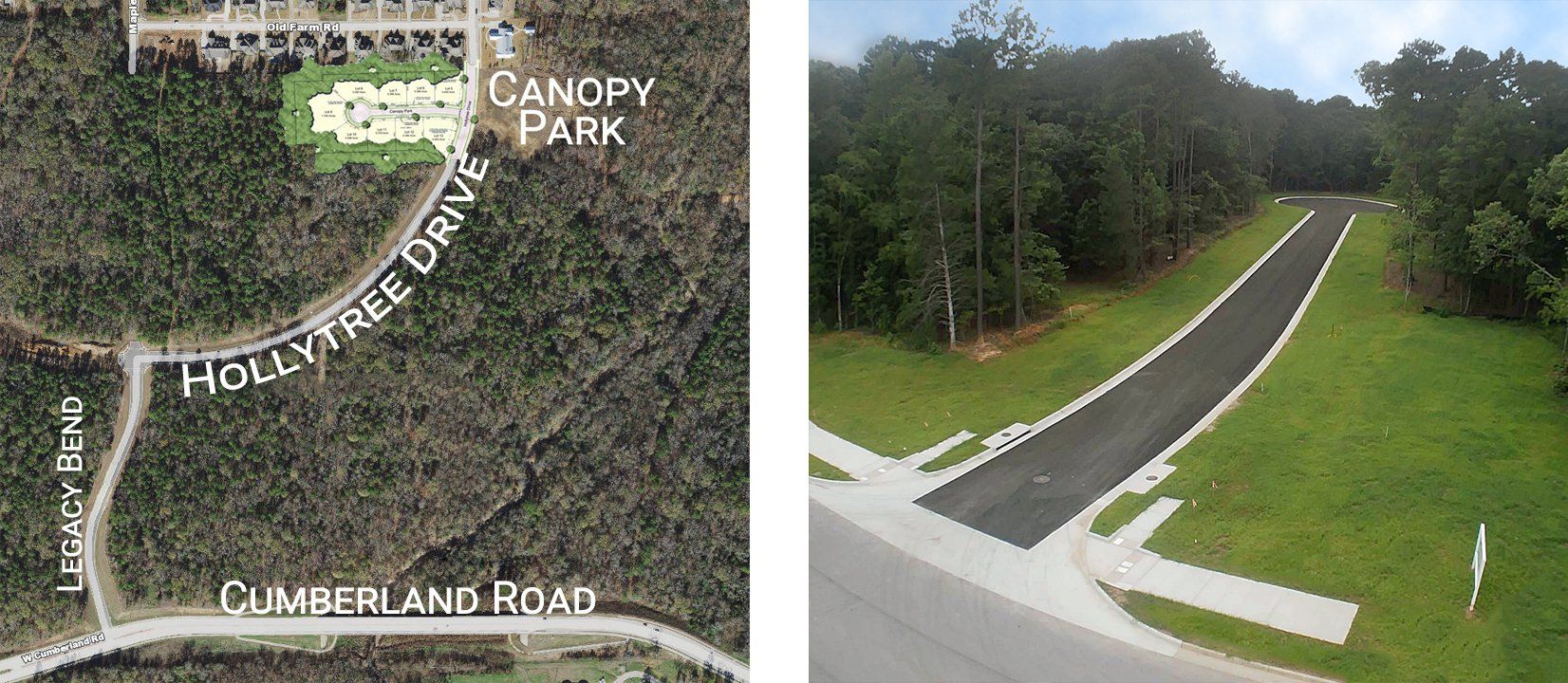 An aerial view of a canopy park and a road