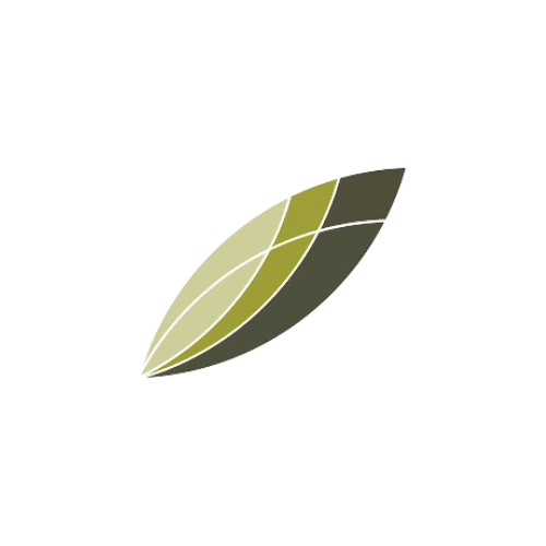 A green leaf with a cross on it on a white background.