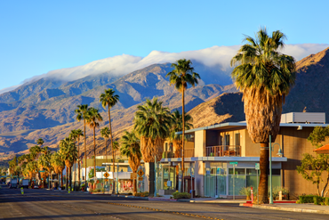 Palm-lined street with storefronts and a snow-capped mountain under a clear blue sky