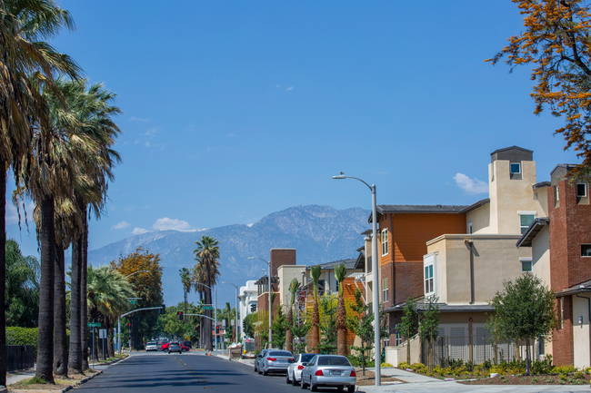Sunny city street with palm trees, parked cars, and mountains in the distance