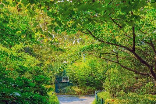 Hidden Parks and Gardens