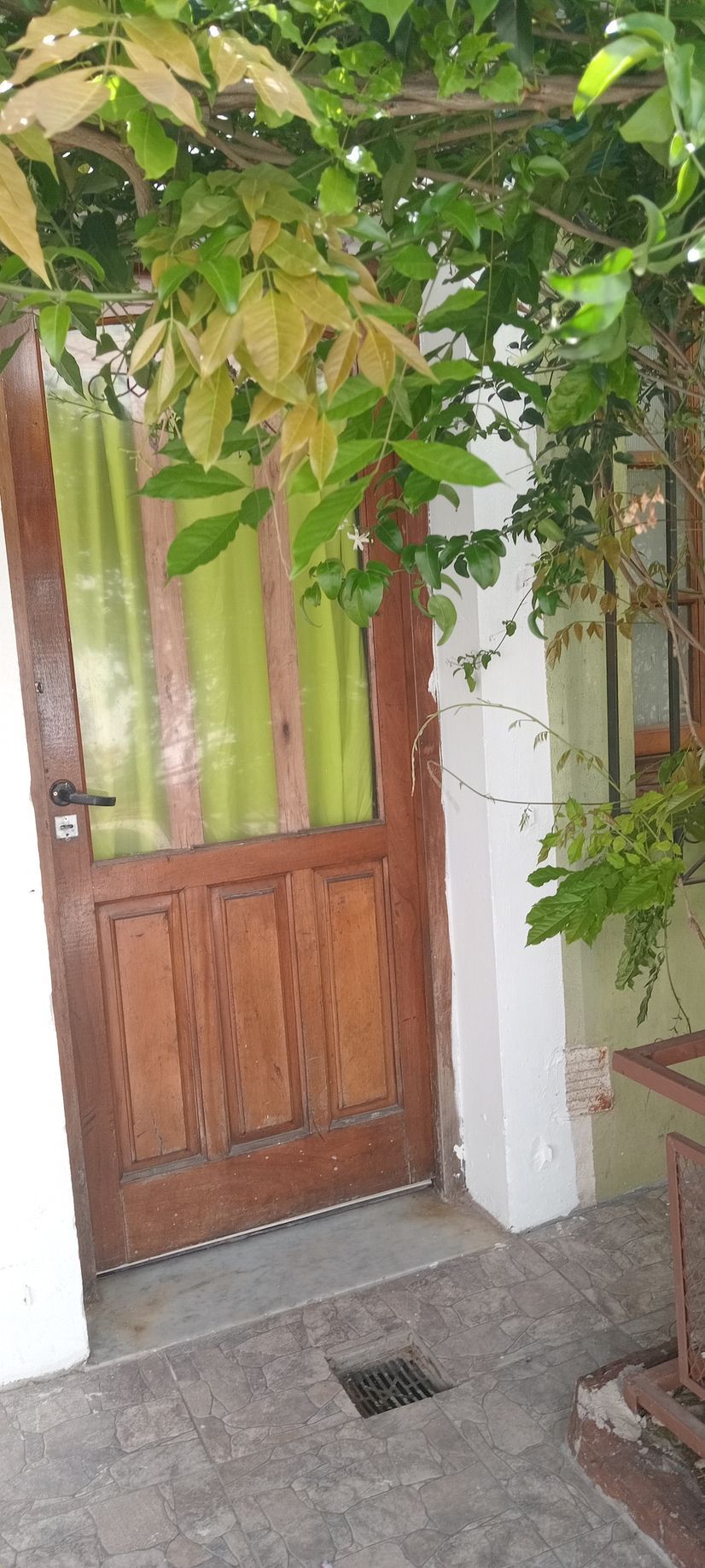 Puerta principal de madera con cortinas verdes detrás, enmarcada por paredes blancas y plantas colgantes.