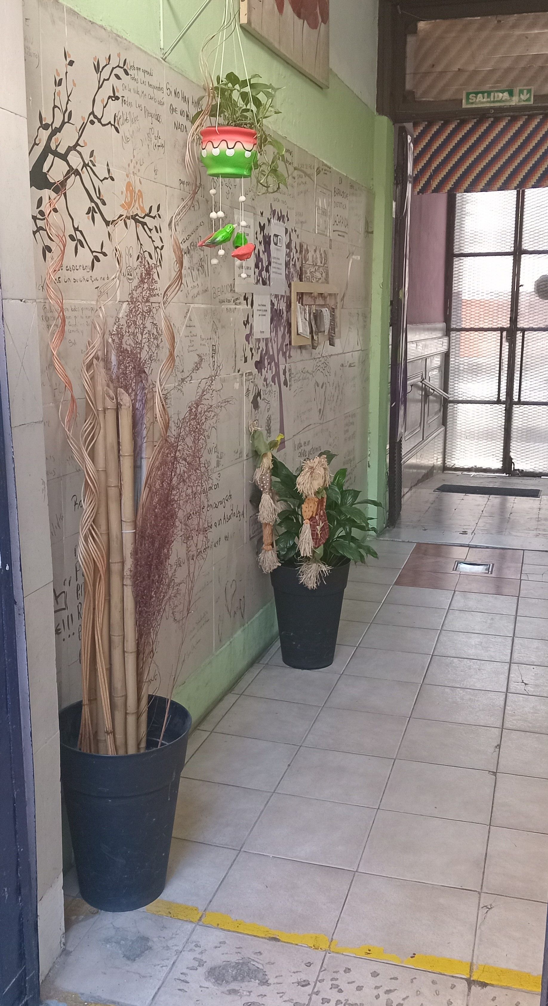 Pasillo interior estrecho con plantas en macetas, suelo de baldosas y una puerta con barrotes al final.