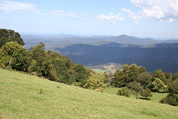 Dorrigo Aerial View — Earthmoving in Dorrigo, NSW Dorrigo Aerial View — Earthmoving in Dorrigo, NSW