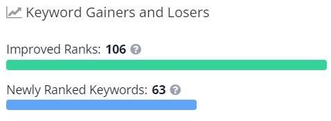 SEO keyword ranking results