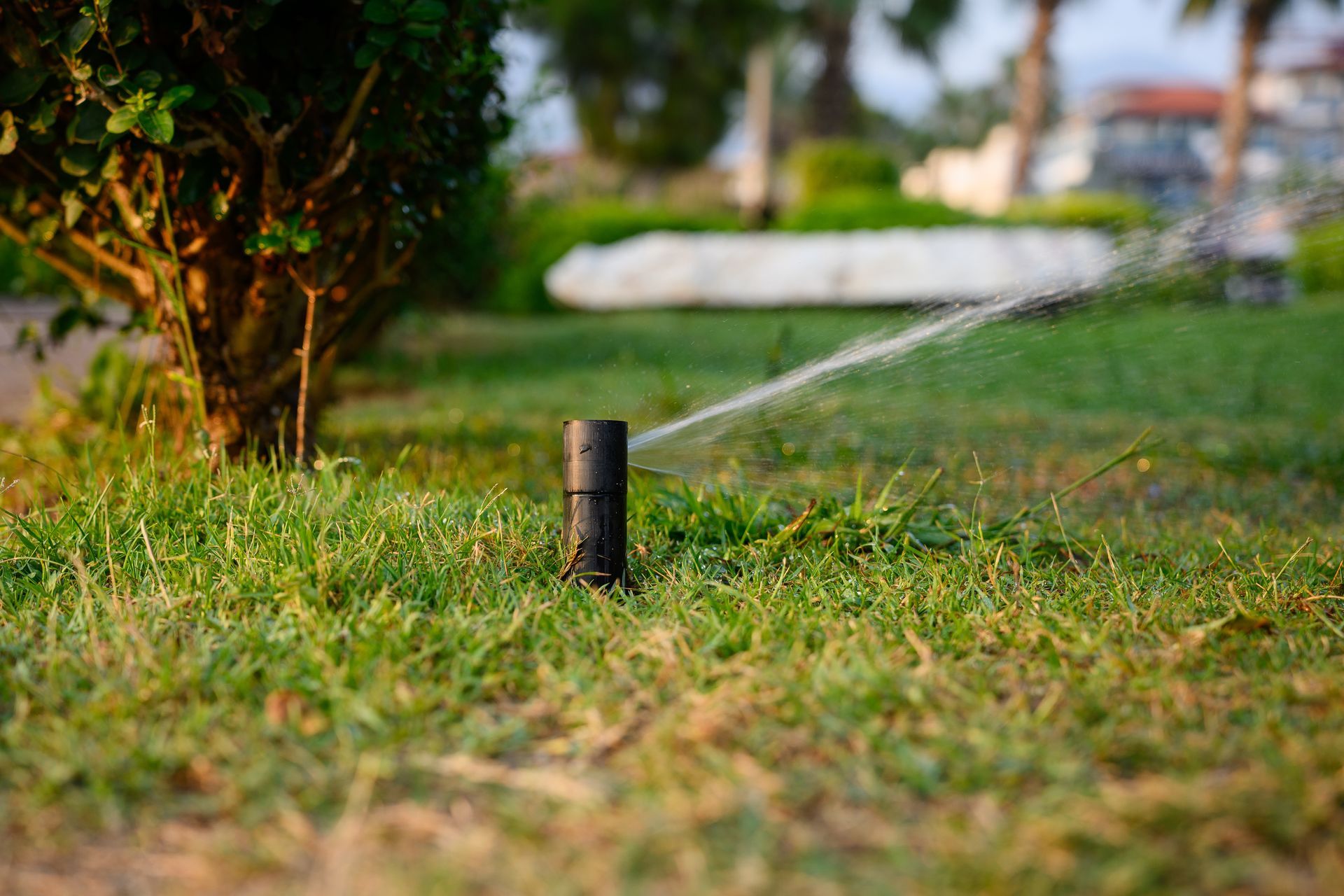 Sprinkler watering a grassy lawn near trees in a park