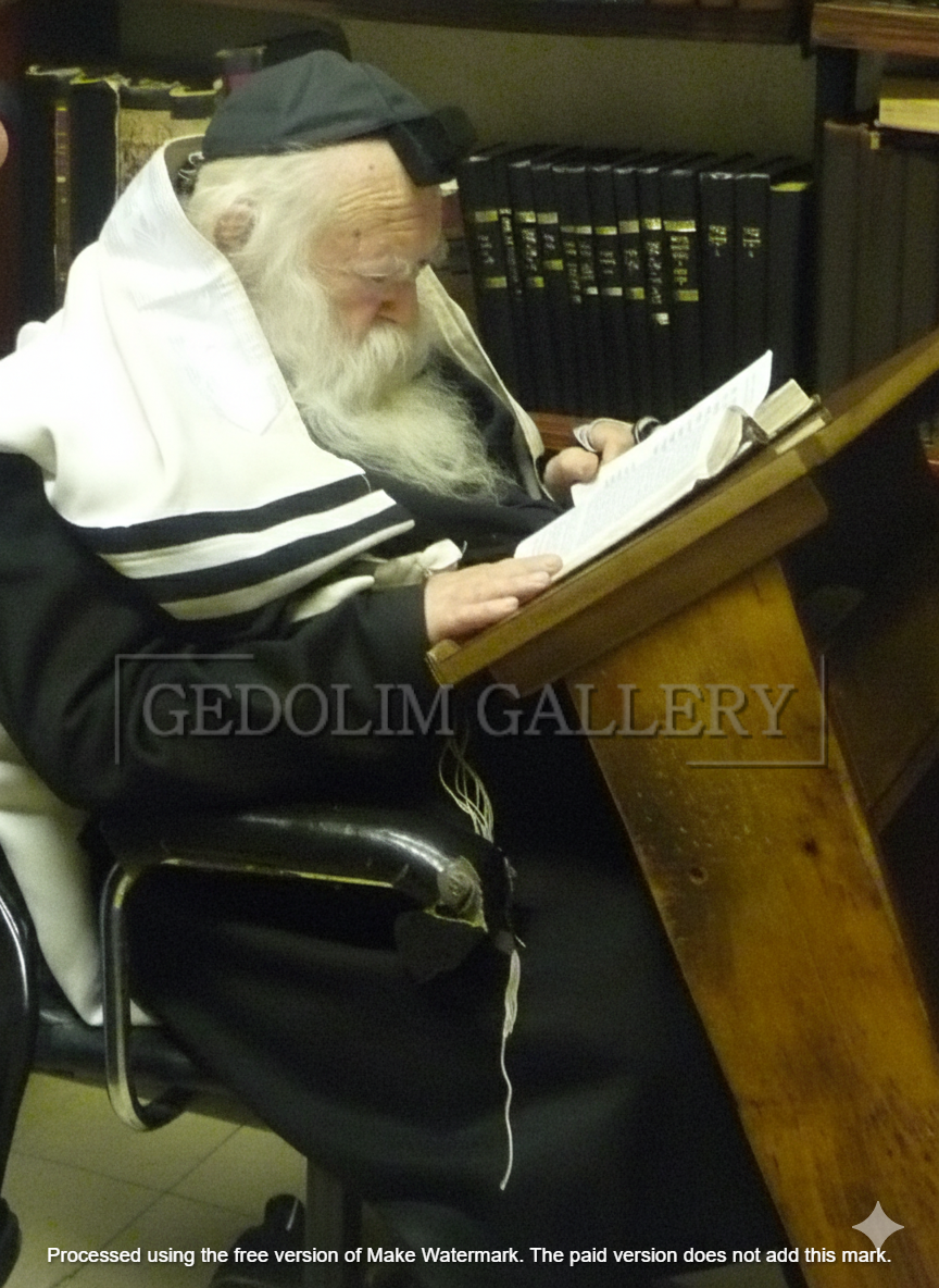 HaRav Chaim Kanievsky 5