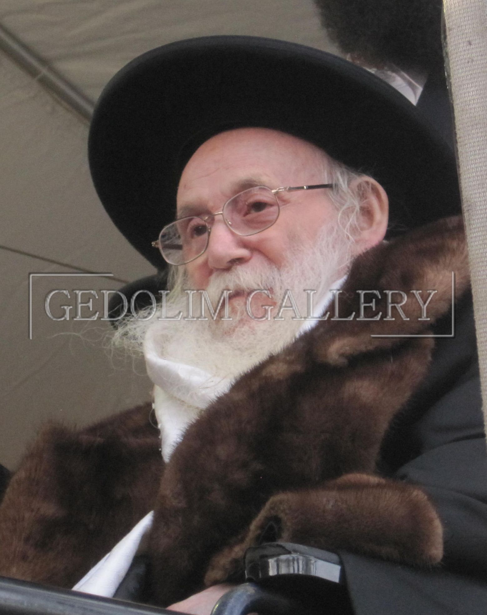 A man with a beard and glasses is wearing a fur coat