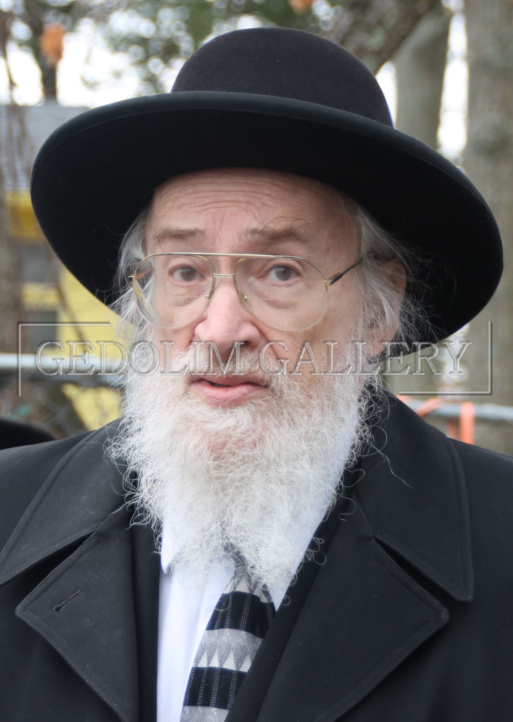 A man with a beard wearing a hat and tie