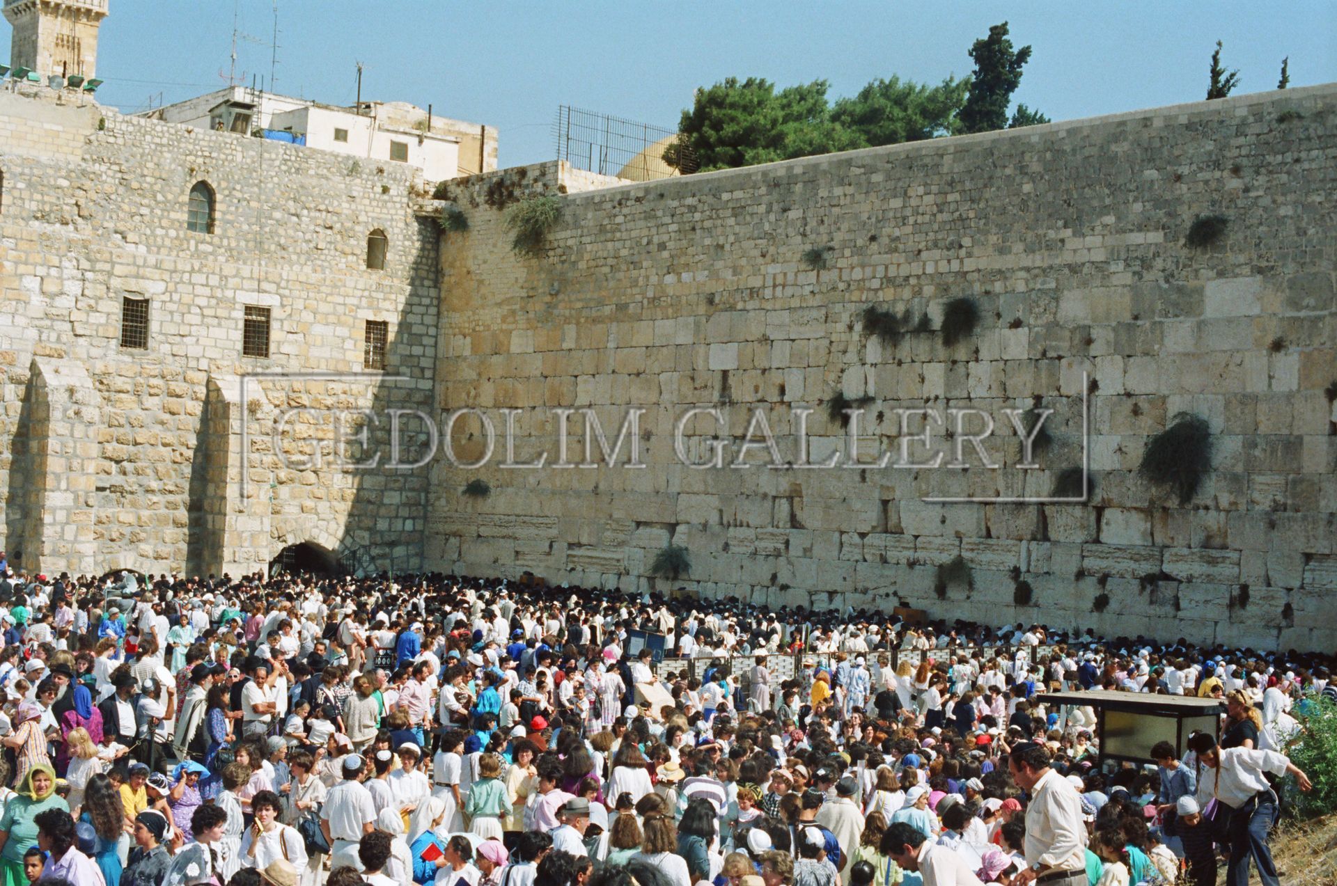 A large crowd of people are gathered in front of a stone wall with the words edulim gallery written on it