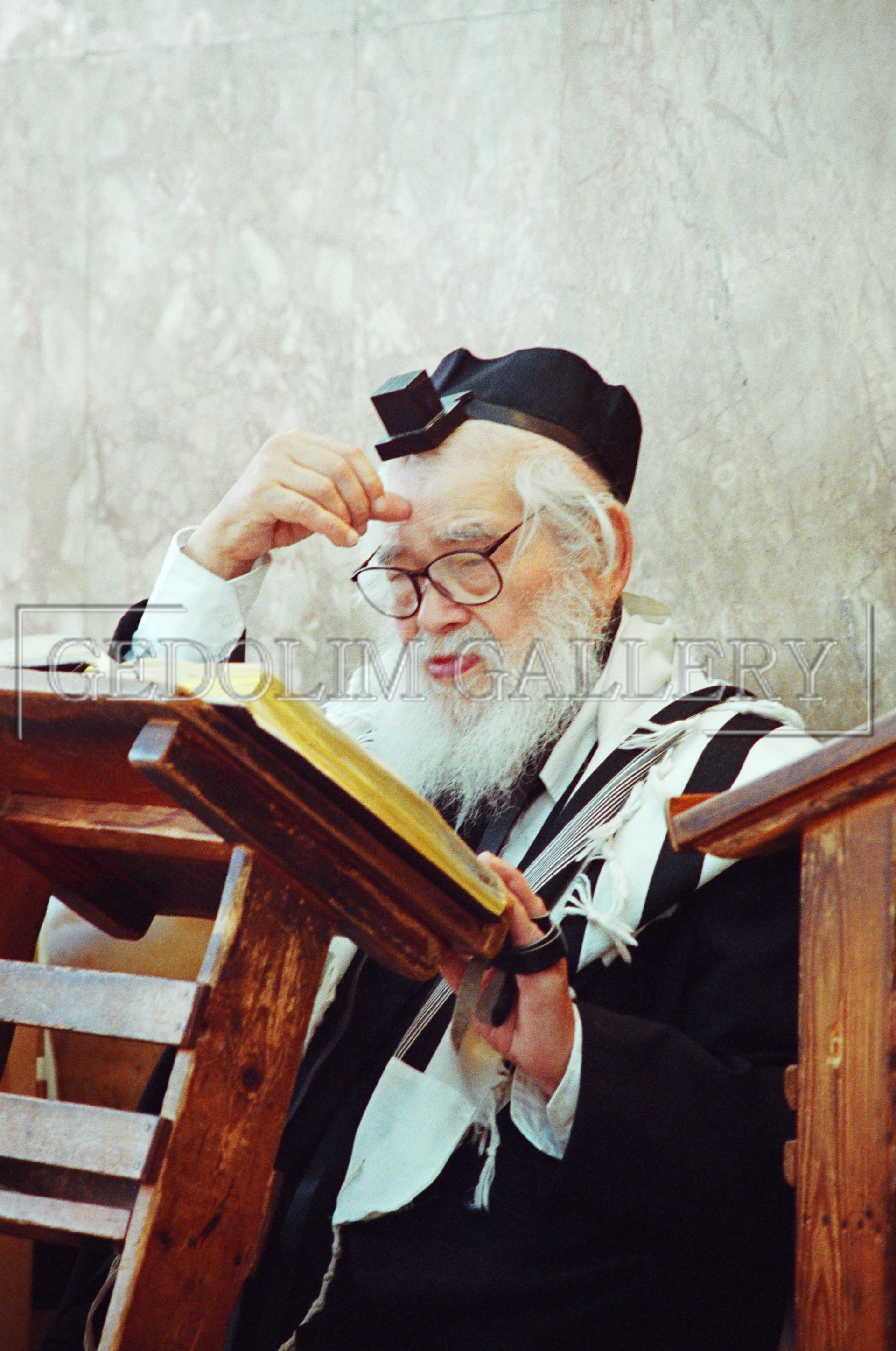 A man with a beard and glasses is reading a book