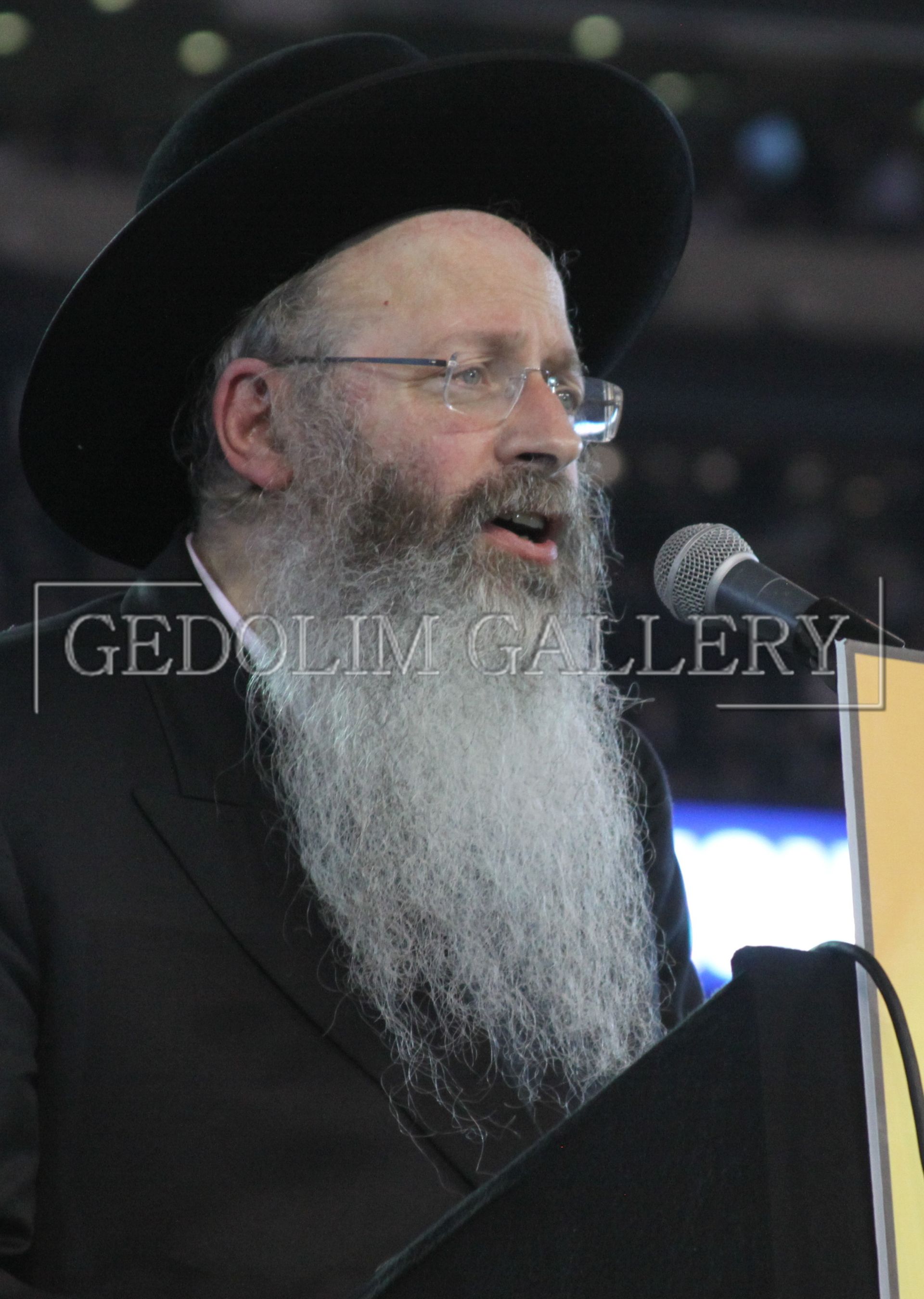 A man with a beard and glasses is speaking into a microphone with gedolin gallery in the corner