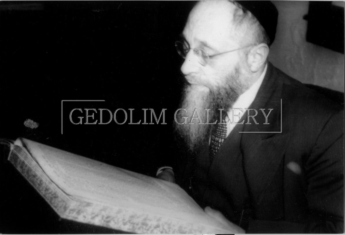 A black and white photo of a bearded man reading a book