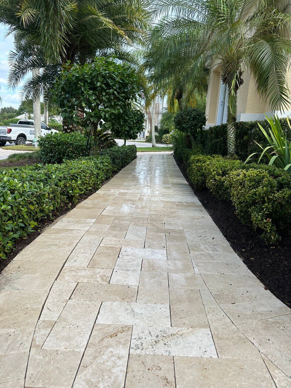 a walkway leading to a house with palm trees and bushes on both sides