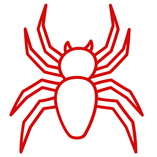 A red line drawing of a spider on a white background.