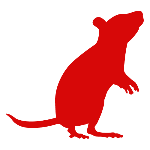 A red silhouette of a mouse standing on its hind legs on a white background.