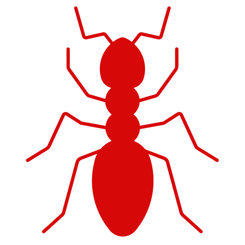 A red ant is sitting on a white surface.