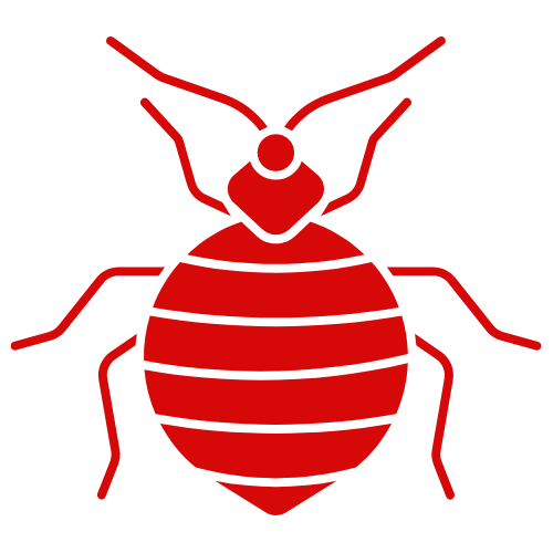 A red bed bug icon on a white background.