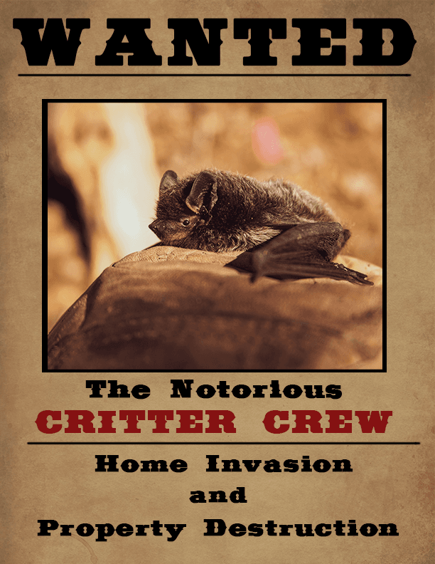 Bat in poster.