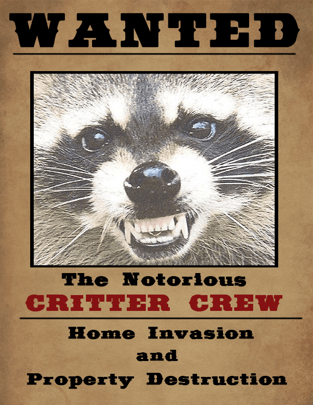 =Angry raccoon with exposed teeth.