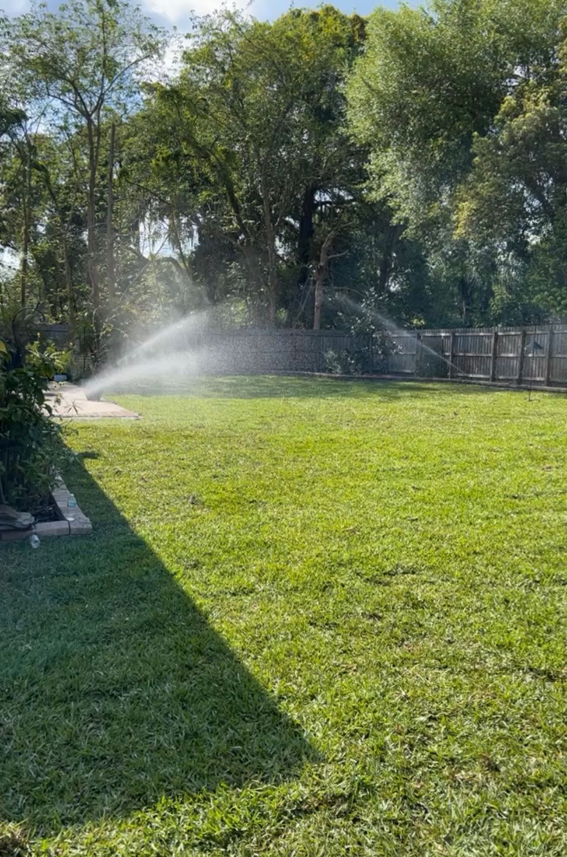 Sprinkler watering a green lawn in a backyard, trees and a wooden fence in the background.