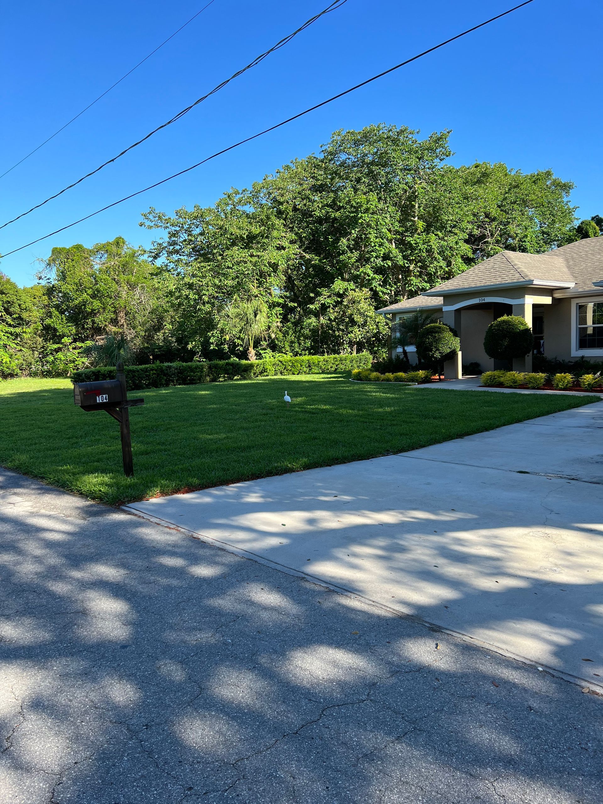 Green lawn in front of house with mailbox and trees, bright blue sky above.