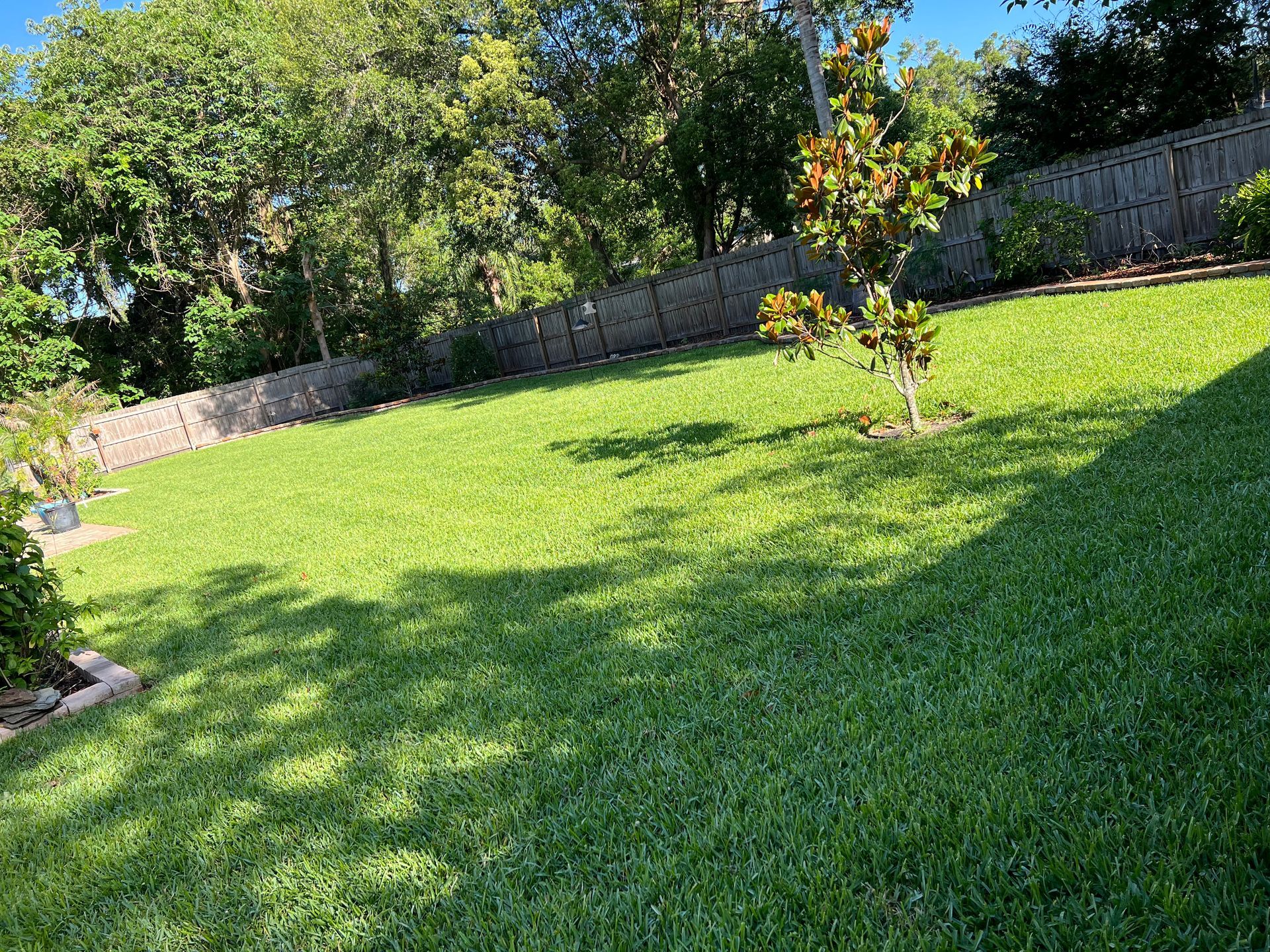 Lush green lawn with a small tree, a wooden fence, and trees in the background under a blue sky.