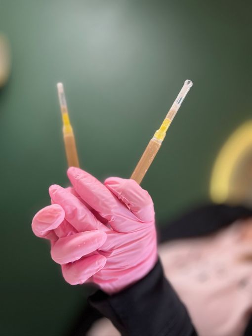 Pink-gloved hand holding two test tubes with amber liquid against a blurred green background