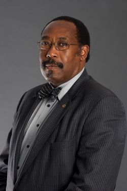 Formal portrait of a man in a dark pinstripe suit and bow tie against a gray background