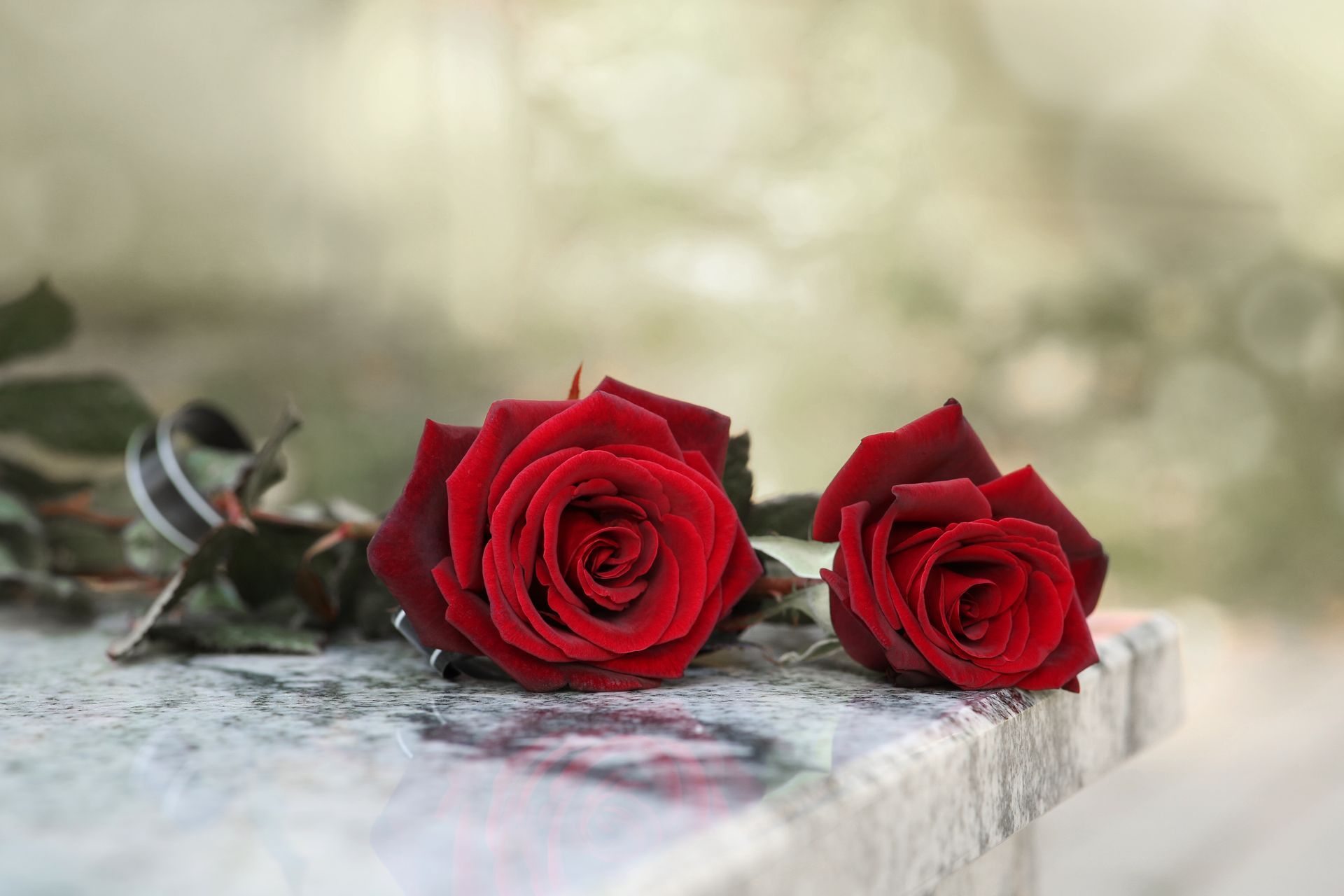 Two red roses on a stone ledge with a blurred green background