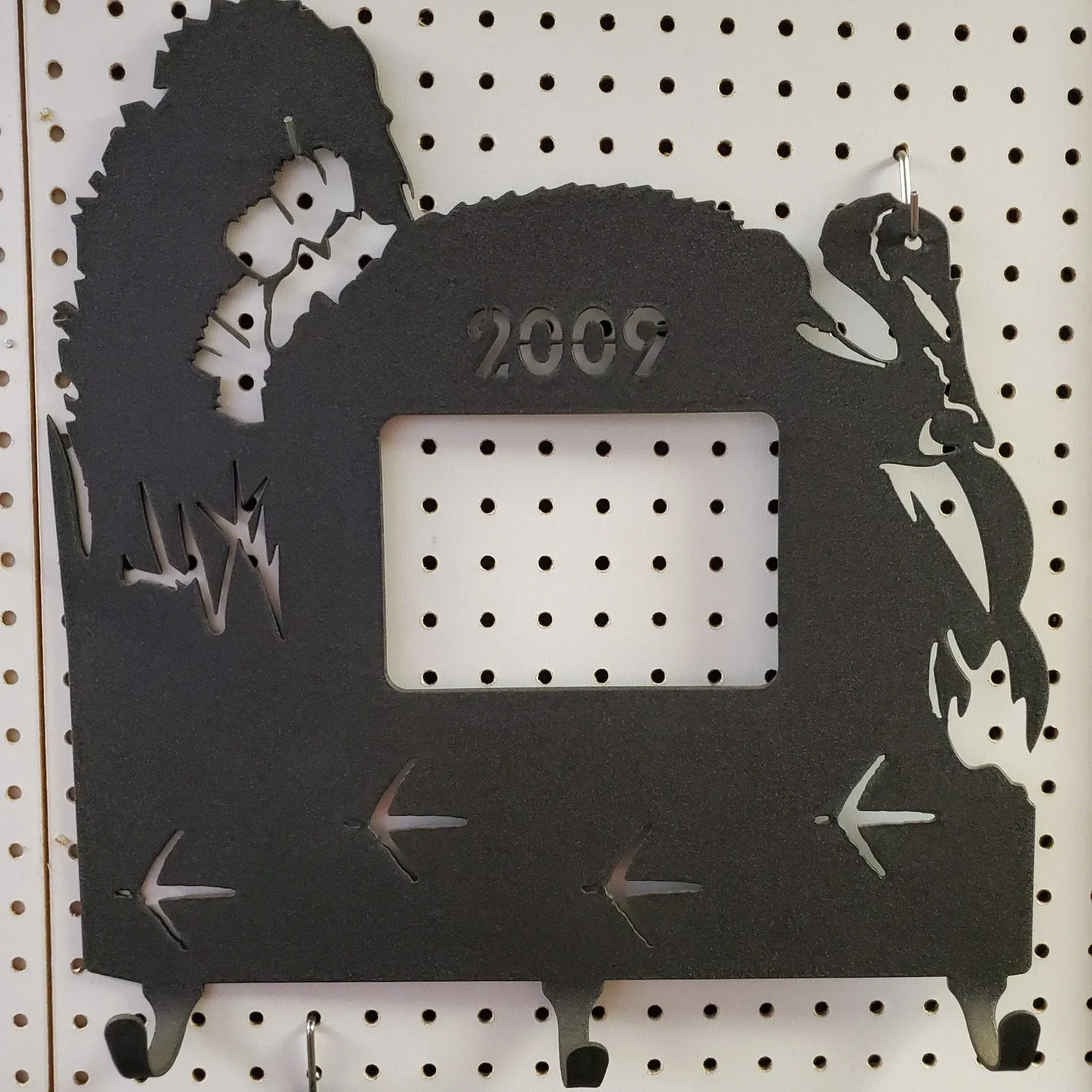 2009 Plasma Art — Wisconsin Rapids, WI — BDT INC