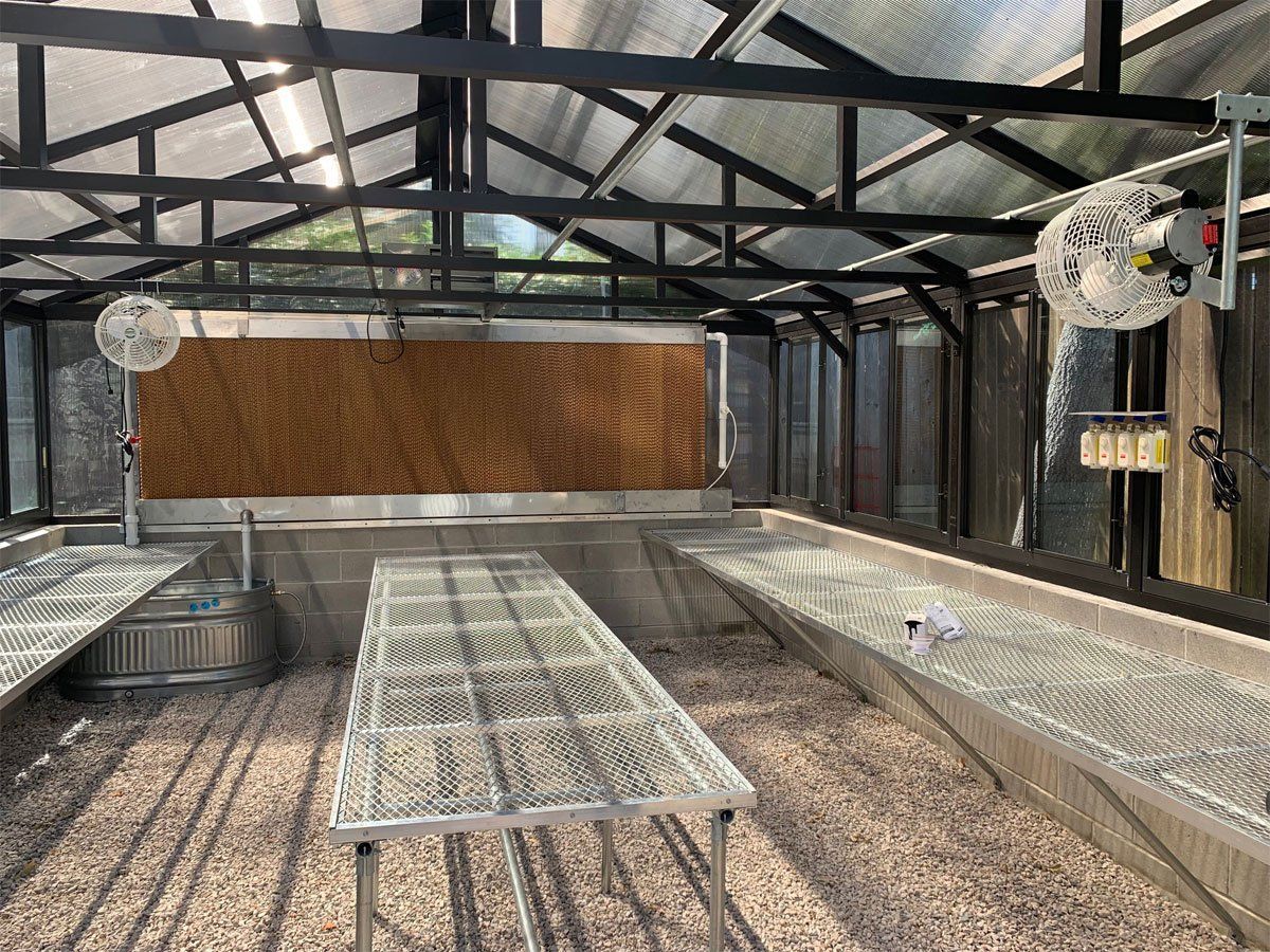 Bronze Greenhouse Gallery