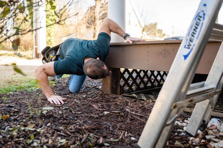 Man Checking Pest Under Porch