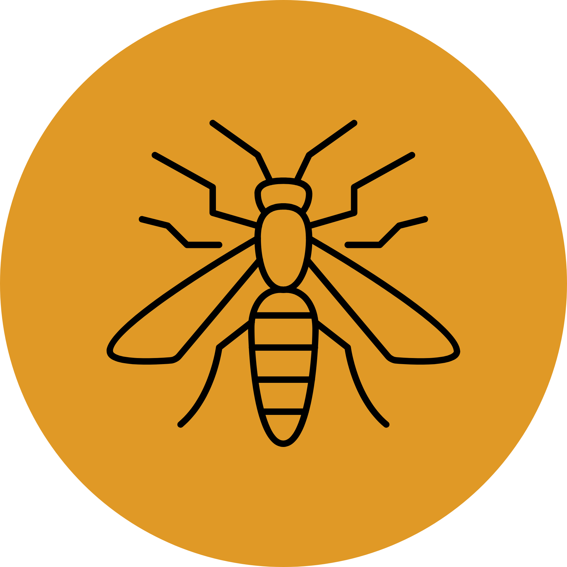 Pest Control Vermin Control Yorkshire Dales Pest Control