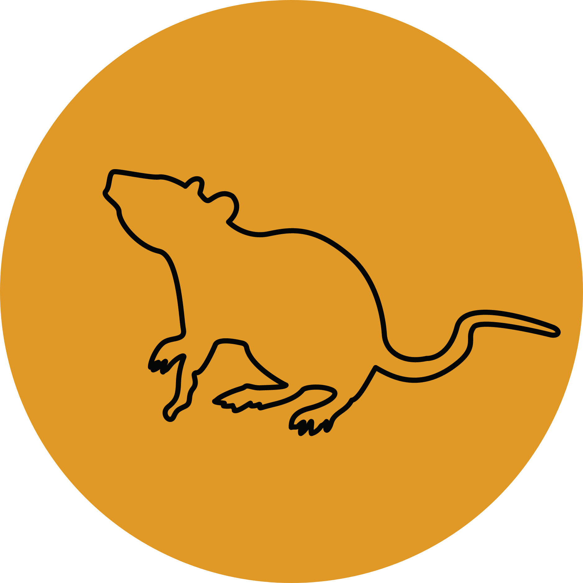 Pest Control Vermin Control Yorkshire Dales Pest Control