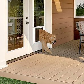 Golden Retriever exiting through a dog door in a white door onto a wooden deck.