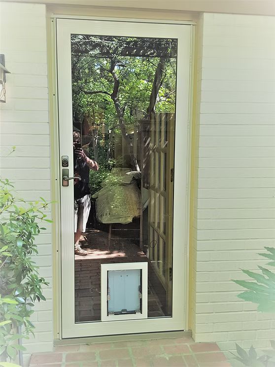 White door with large glass panel, pet door at the bottom. Person reflected in the glass, a garden visible.
