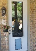 White front door with large glass panel, small lower glass panel, and hanging basket of flowers on brick wall.