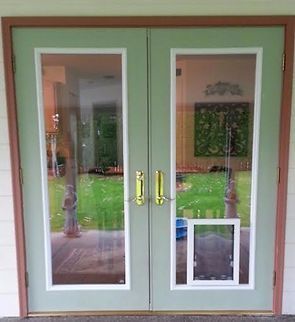 Green double doors with glass panels and a dog door, framed in brown and white, leading to a yard.