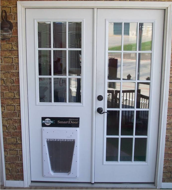 White French doors with dog door, brick wall surround.