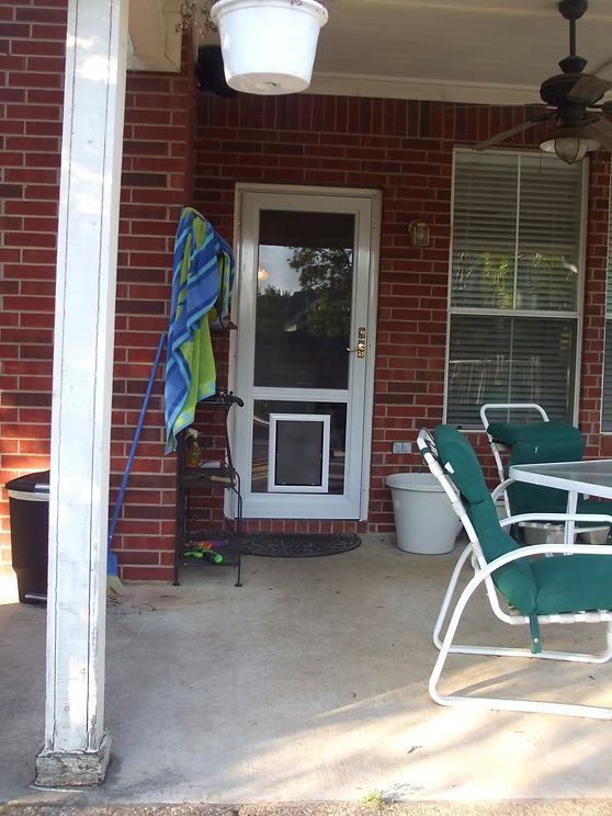 Red brick porch with a white-framed screen door containing a doggy door.
