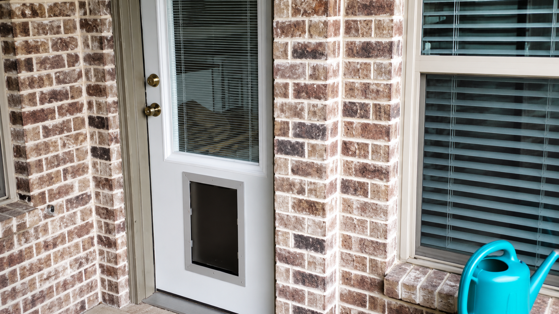 White door with a pet door inset beside a brick house window and a turquoise watering can on the step