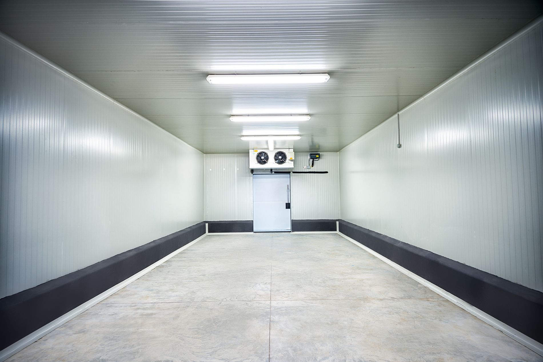 interno cella frigo