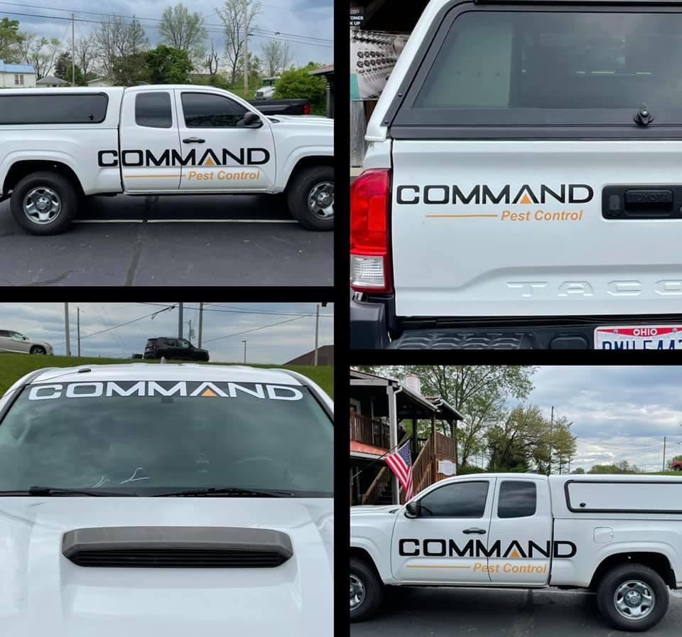 A collage of a white Toyota Tacoma truck featuring the 